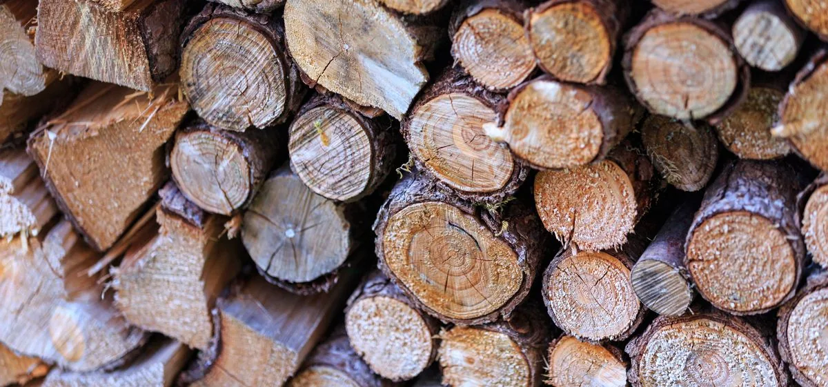 Stockage de bois de chauffage ventilé : bûches empilées, extrémités des rondins tournées vers l'extérieur