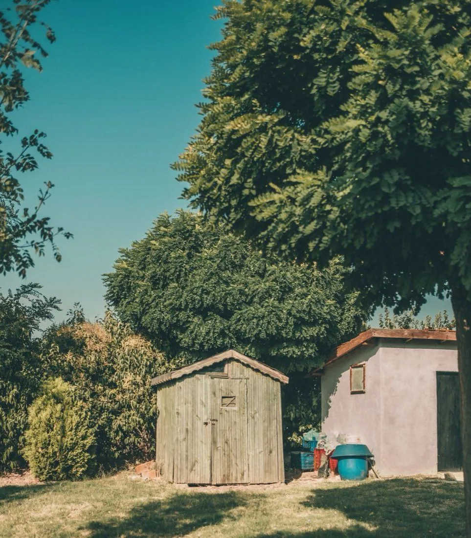 Vieil abri de jardin en bois entouré de bacs et caisses de rangement dans un jardin arboré