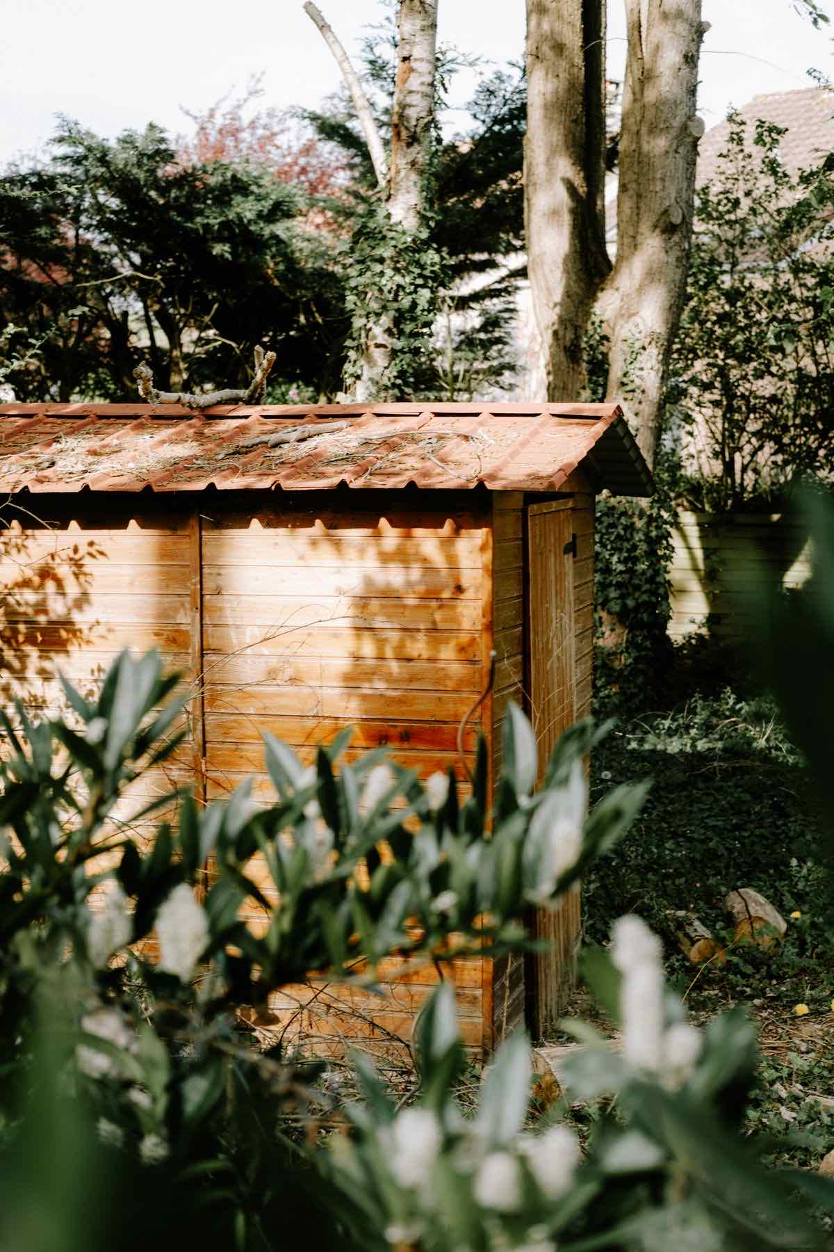Abri de jardin en bois avec bardage bois et toiture tuiles, installé dans un jardin arboré