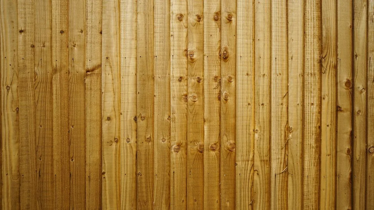 Gros plan sur des lames de clôture en bois résineux, fil et teinte chaude type douglas ou mélèze