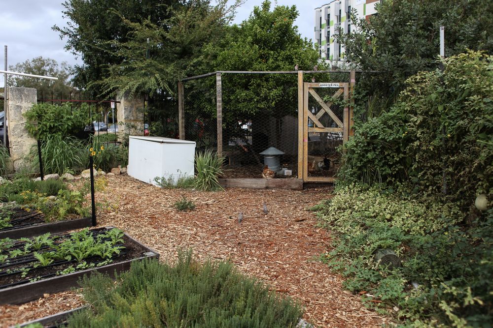Poulailler et parcours clos par un grillage, bien implanté dans un jardin planté à l'écart des limites
