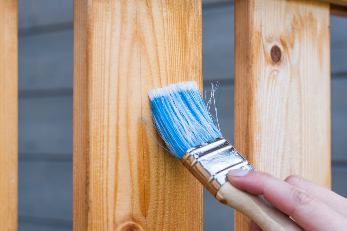 Application d'un saturateur au pinceau sur du bois extérieur, après dégrisage et ponçage