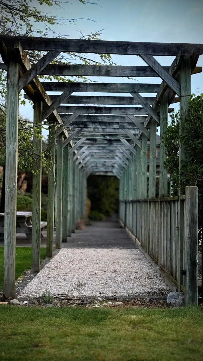 Charpente de pergola en bois massif aux assemblages contreventés, bois grisaillé par les années