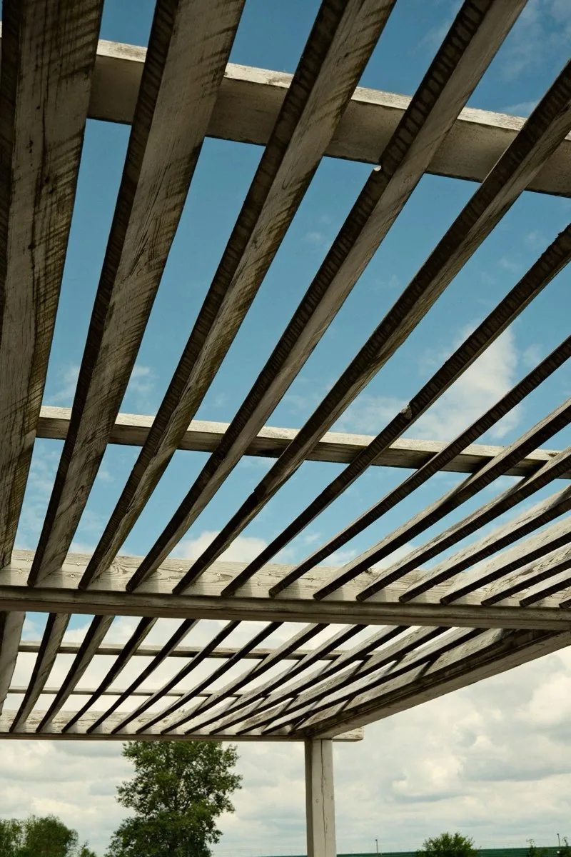 Sous-face d'une pergola en bois : chevrons posés sur pannes, vus en contre-plongée sur le ciel